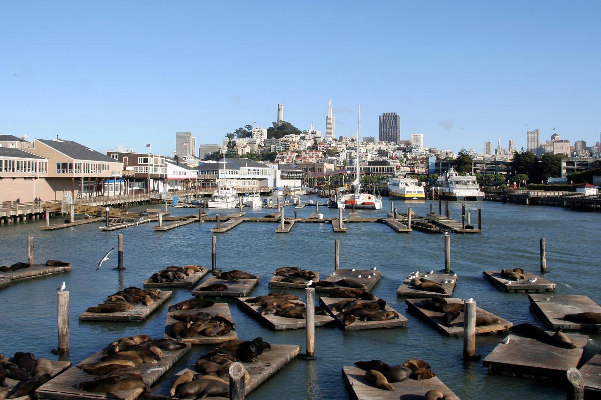 佐伊渔人码头酒店 旧金山 外观 照片